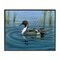 Stupell Industries Pintail Loon in Pond Framed Giclee Wall Art Design by Valerie Rogers